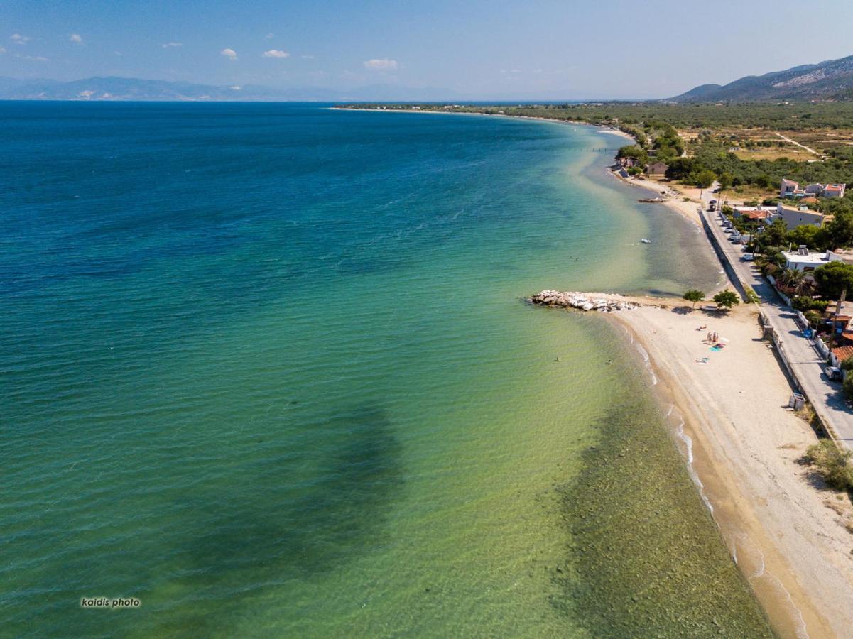 Villa 4 You Iliopetra สกาลาโซติรอส ภายนอก รูปภาพ