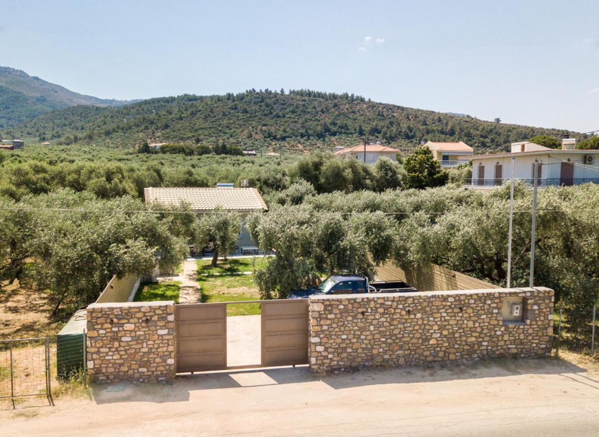 Villa 4 You Iliopetra สกาลาโซติรอส ภายนอก รูปภาพ